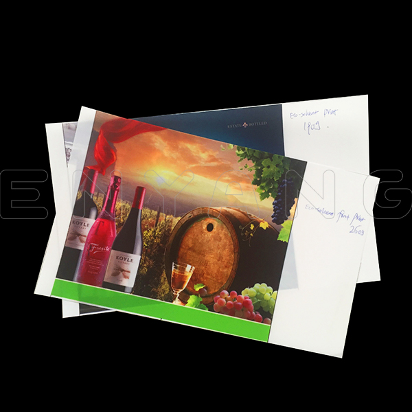 Innovations in Backlit Film Printing Drive Growth in Advertising and Display Industries